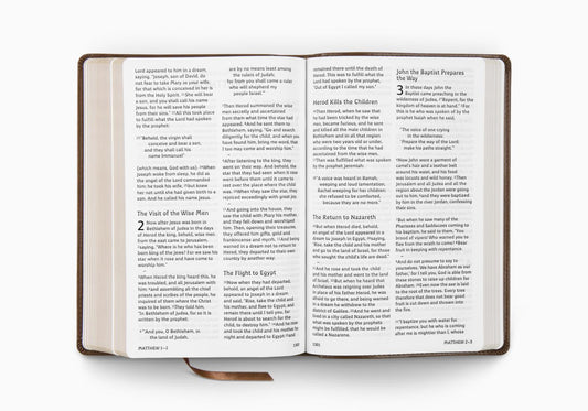 ESV Bible: Dyslexia-Friendly Edition - Brown