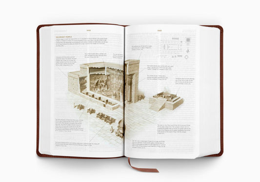 ESV Student Study Bible - Chestnut