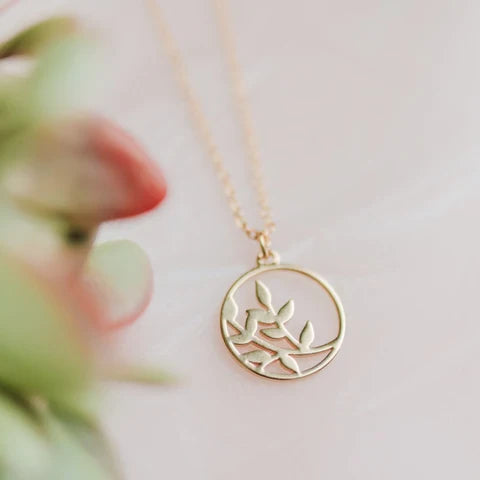 Jewelry Collection