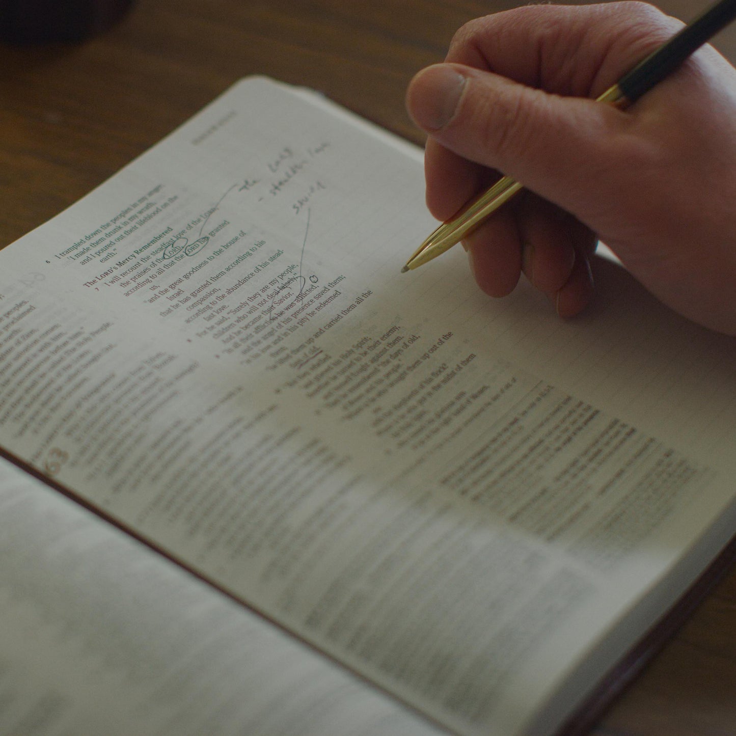 ESV Journaling Study Bible