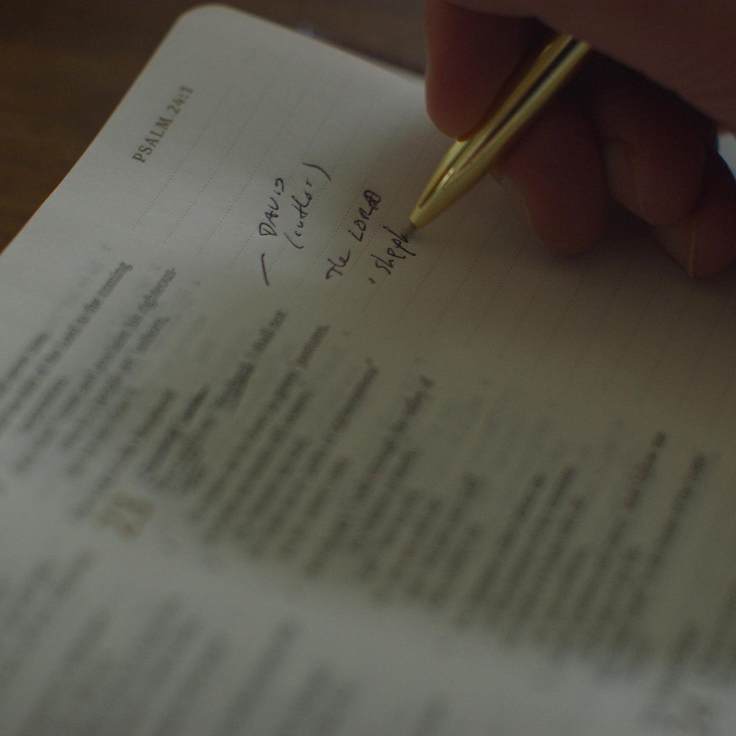 ESV Journaling Study Bible