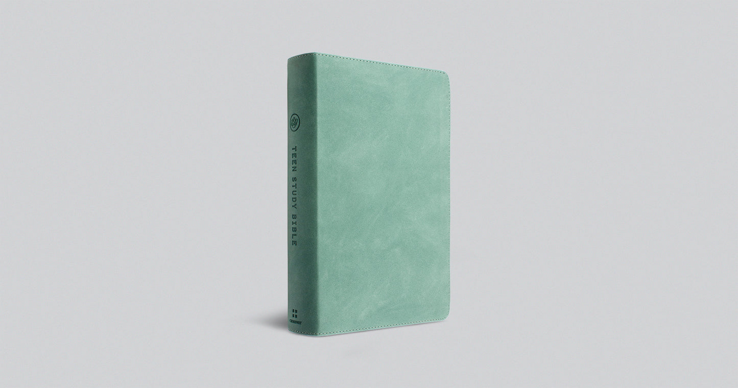 ESV Teen Study Bible - Seaside Blue