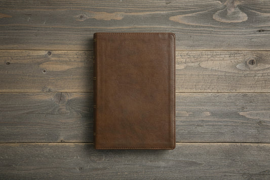 ESV Bible: Dyslexia-Friendly Edition - Brown