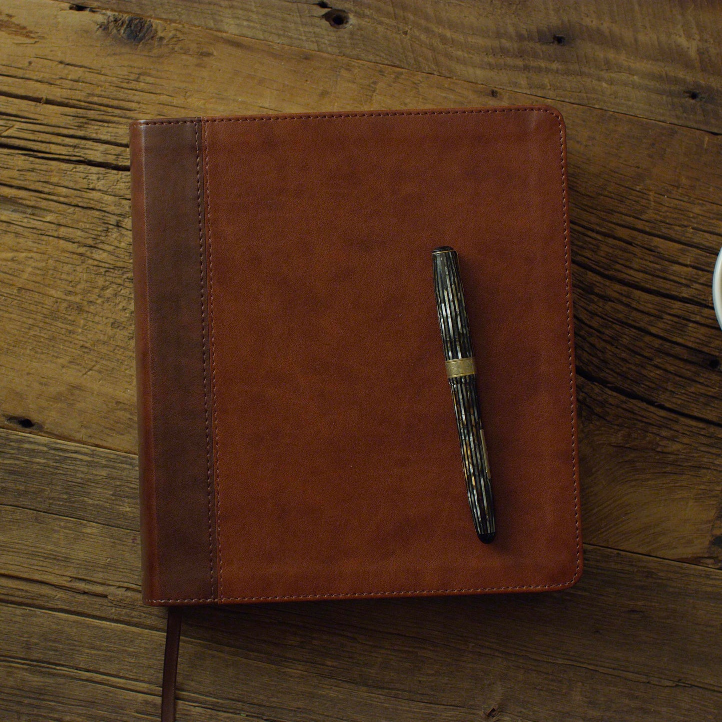 ESV Journaling Study Bible