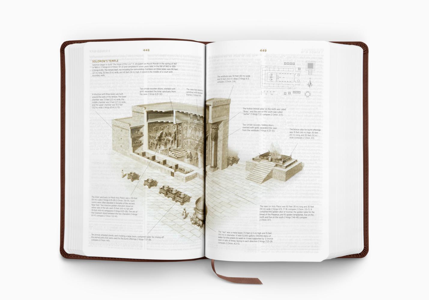 ESV Student Study Bible - Chestnut