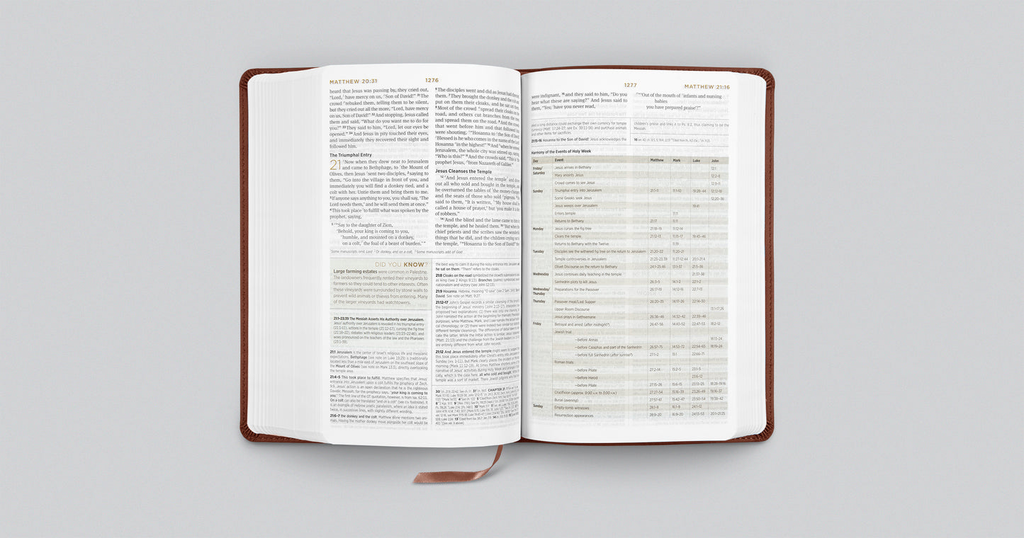 ESV Student Study Bible - Chestnut